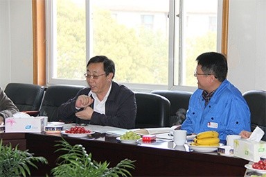 2013年3月18日，时任国家工信部节能司副司长杨铁生一行莅临公司参观指导