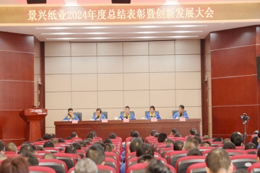 乘风破浪 逐梦前行 | bwin必赢亚洲官方网站纸业2024年度总结表彰暨创新发展大会隆重召开