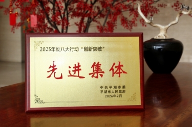策马扬鞭启新程！bwin必赢亚洲官方网站纸业在平湖市三级干部大会上荣获“创新突破”双项荣誉